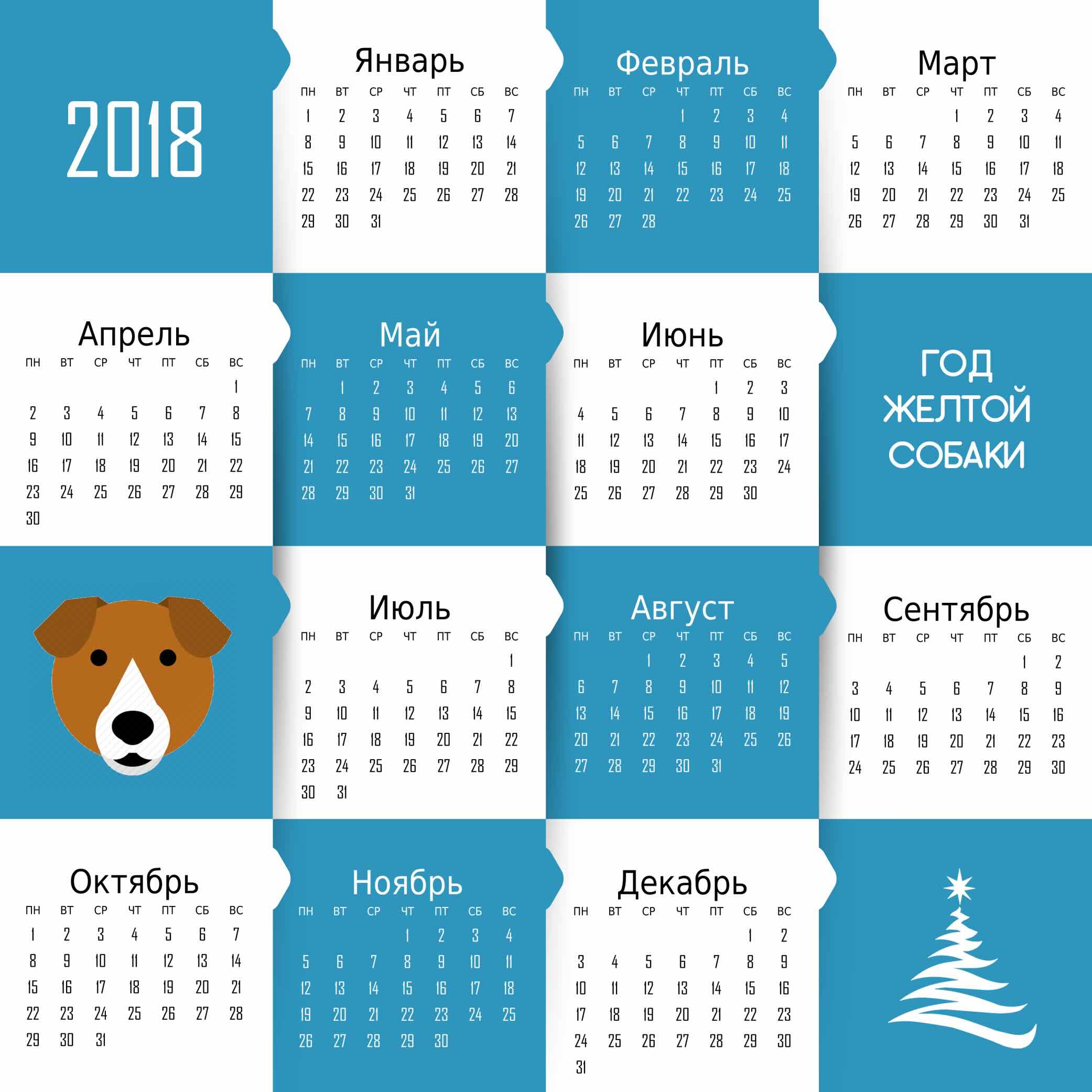 Bir yılda 365 gün var.